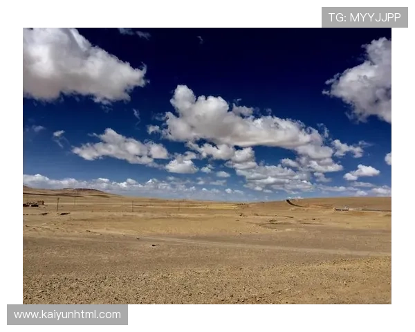 开云官方网站首页提供的最新产品信息与促销活动一览