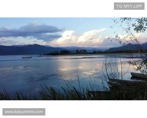 开云新人88：新手玩家快速成长的秘籍分享助你在游戏中取得优异成绩